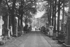 Bruges Cemetery