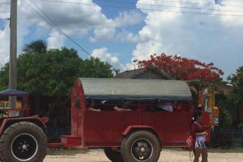 agriculture in Cuba