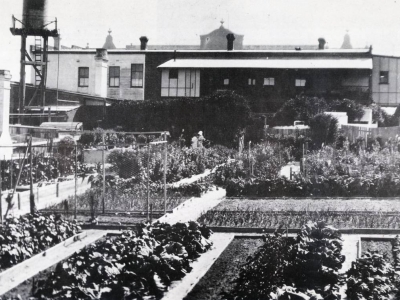 Gardens-at-rear-of-Ausralasia-C1930s